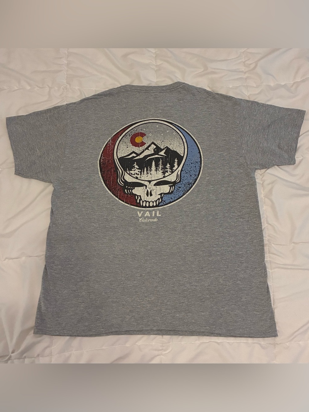 Grateful Dead Steal Your Face Vail Colorado Men's T-Shirt in Gray Size L